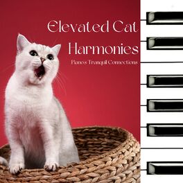 Album cover of Elevated Cat Harmonies: Piano's Tranquil Connections
