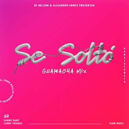 Album cover of Se Soltó (Guaracha Remix) [feat. Alejandro Armes]