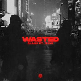 Album cover of Wasted