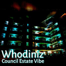 Album cover of Council Estate Vibe