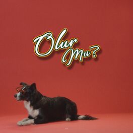 Album cover of Olur Mu?