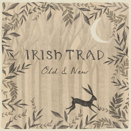 Album cover of Irish Trad: Old & New