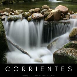 Album cover of Corrientes: Sonidos De Agua De Lluvia y Ríos