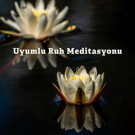 Album cover of Uyumlu Ruh Meditasyonu: Uyku ve Meditasyon için Rüya Gibi Müzik, İç Denge, Rahatlatıcı Doğa Sesleri