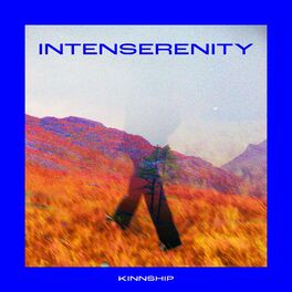 Album cover of Intenserenity