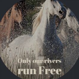 Album cover of Only Our Rivers Run Free