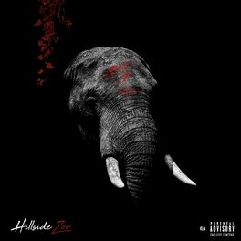 Album cover of Hillside Zoo