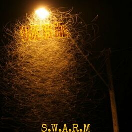 Album cover of S.W.A.R.M