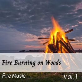 Album cover of Fire Music: Fire Burning on Woods Vol. 1