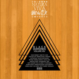 Album cover of Black Diamonds, Vol. 14