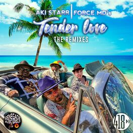 Album cover of Tender Love (The Remixes)