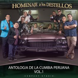 Album cover of Homenaje a los Destellos, Antologia a la Cumbia Peruana Vol.1