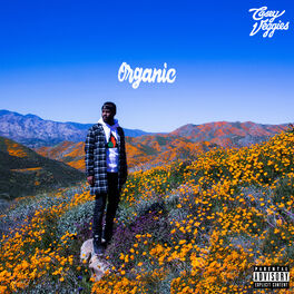 Album cover of Organic
