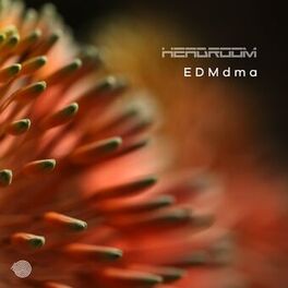 Album cover of Edmdma