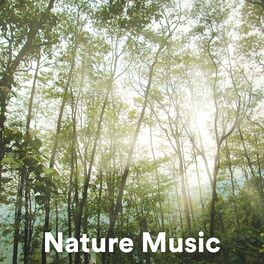 Album cover of Nature Music