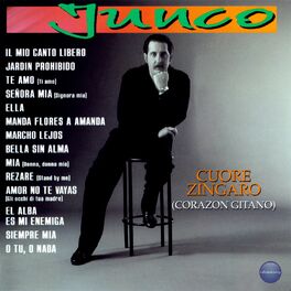 Album cover of Coure Zingaro (Corazón Gitano)