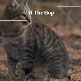 Album cover of At The Hop