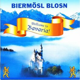 Album cover of Wellcome to Bavaria!