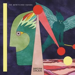 Album cover of Birds & Drums