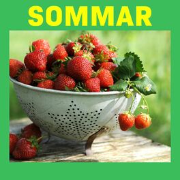 Album cover of Sommar