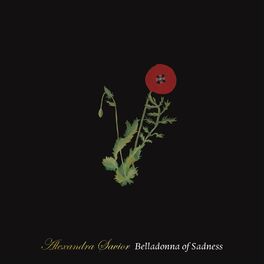 Album cover of Belladonna of Sadness