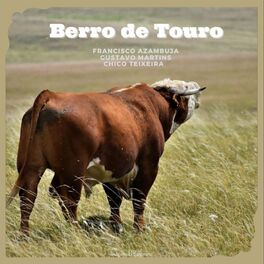 Album cover of Berro de Touro