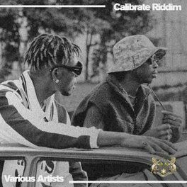 Album cover of Calibrate Riddim