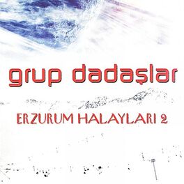 Album cover of Erzurum Halayları, Vol. 2