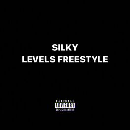 Album cover of Levels Freestyle