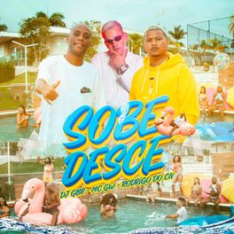 Album cover of Sobe e Desce - No Pique BBB (feat. Confesser)