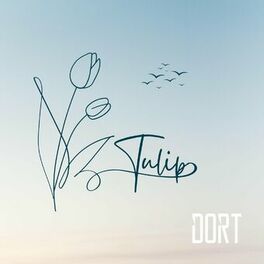 Album cover of Tulip