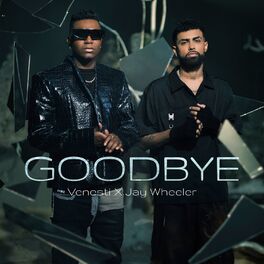 Album cover of Goodbye