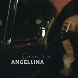 Album cover of Cekam te ja