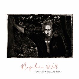 Album cover of Napoleon Wolf