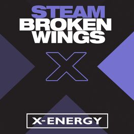 Album cover of Broken Wings