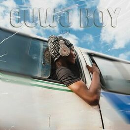 Album cover of Ouwo Boy