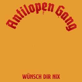 Album cover of Wünsch Dir nix
