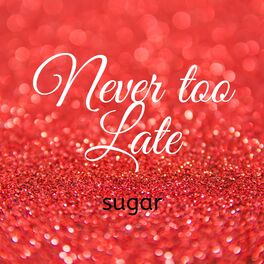 Album cover of Never Too Late