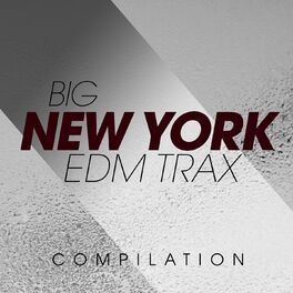 Album cover of Big New York EDM Trax Compilation