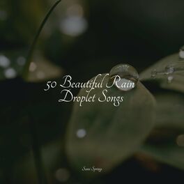 Album cover of 50 Beautiful Rain Droplet Songs