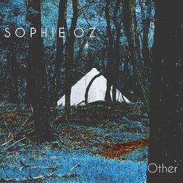 Album cover of Other