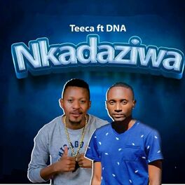 Album cover of Nkadaziwa (feat. DNA)
