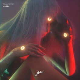 Album cover of Cobra