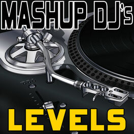 Album cover of Levels (Remix Tools for Mash-Ups)