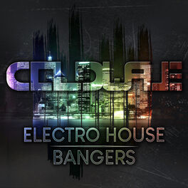 Album cover of Electro House Bangers