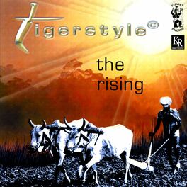 Album cover of The Rising