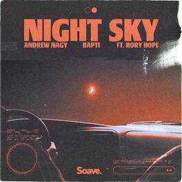 Album cover of Night Sky (feat. Rory Hope)