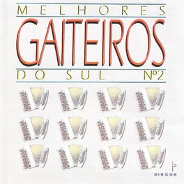 Album cover of Melhores Gaiteiros do Sul, N° 2