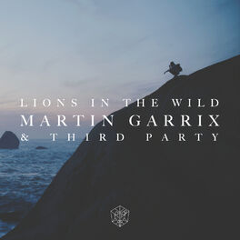 Album cover of Lions in the Wild