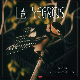 Album cover of Linda la Cumbia